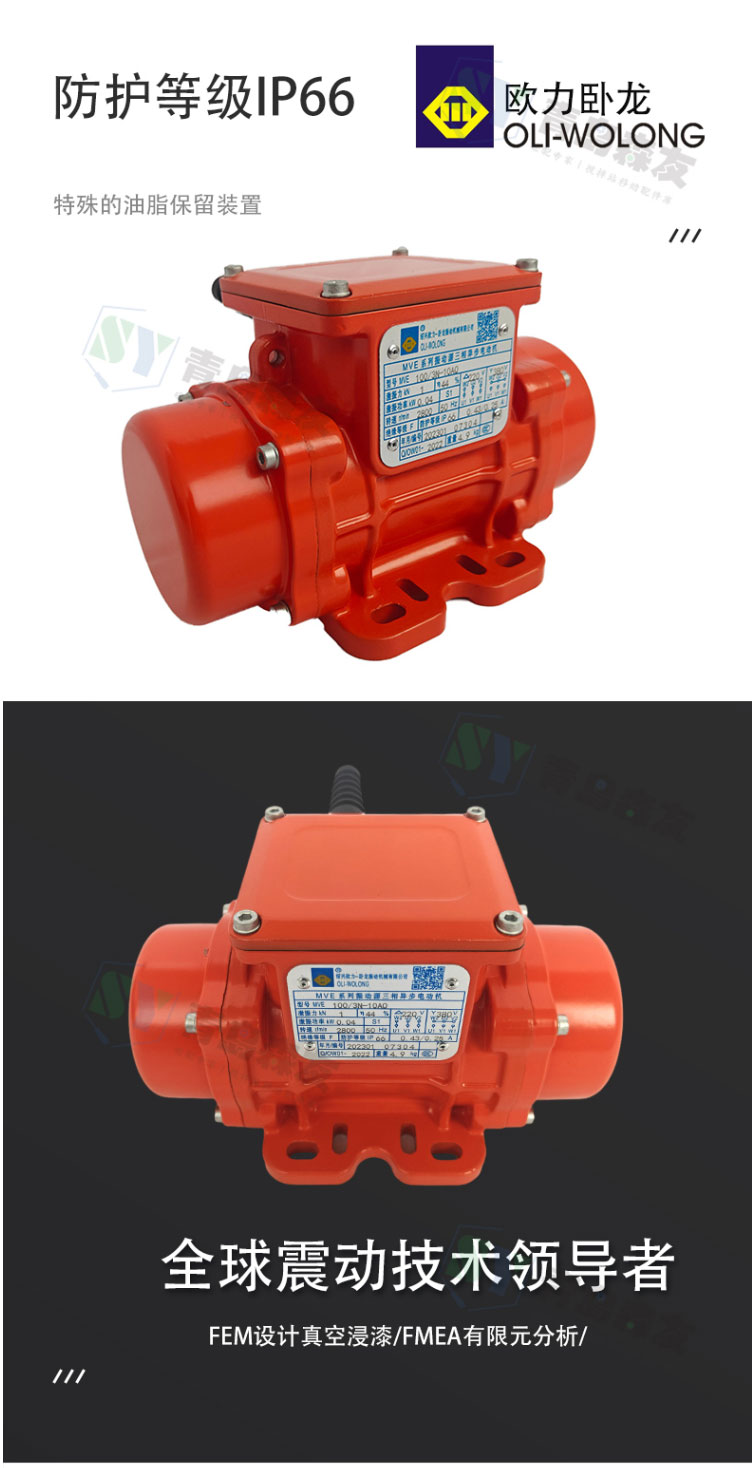 振動(dòng)電機(jī)_02.jpg